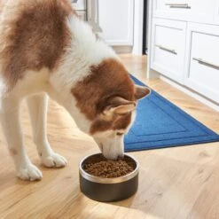 Frisco Insulated Two-Toned Non-Skid Stainless Steel Dog & Cat Bowl -Paws Joy Outlet Store 257168 PT8. AC SS1800 V1615840126