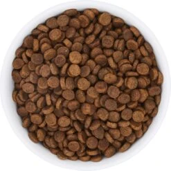 Frisco Bohemian Non-Skid Stainless Steel Dog & Cat Bowl -Paws Joy Outlet Store 257195 PT4. AC SS1800 V1615311089