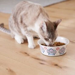 Frisco Bohemian Non-Skid Stainless Steel Dog & Cat Bowl -Paws Joy Outlet Store 257195 PT7. AC SS1800 V1615989147