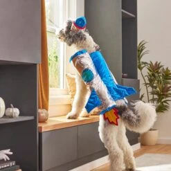 Frisco Rocket Ship Dog & Cat Costume 15 Frisco Rocket Ship Dog & Cat Costume -Paws Joy Outlet Store 260904 PT8. AC SS1800 V1624400386