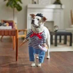 Frisco Front Walking French Artist Dog & Cat Costume -Paws Joy Outlet Store 260956 PT8. AC SS1800 V1689623916