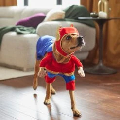 Frisco Front Walking Superhero Dog & Cat Costume -Paws Joy Outlet Store 261083 PT8. AC SS1800 V1624399471