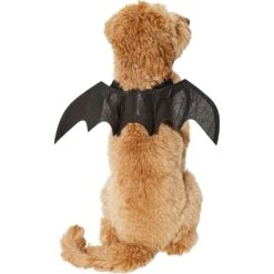 Frisco Bat Wings Dog & Cat Costume -Paws Joy Outlet Store 261113 PT2. AC SS1800 V1625077070