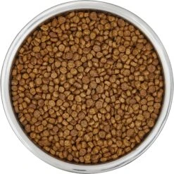 Frisco Insulated Non-Skid Flair Stainless Steel Dog & Cat Bowl -Paws Joy Outlet Store 261753 PT4. AC SS1800 V1623937583