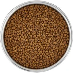 Frisco Insulated Non-Skid Stainless Steel Dog & Cat Bowl -Paws Joy Outlet Store 261757 PT4. AC SS1800 V1623937392