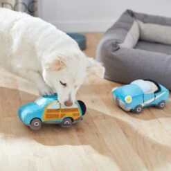 Frisco Road Trip Cruisers Plush Squeaky Dog Toy, 2 Count -Paws Joy Outlet Store 261982 PT3. AC SS1800 V1618598560