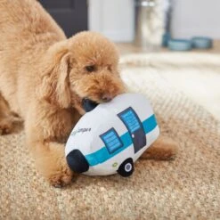 Frisco Road Trip Happy Camper Plush Squeaky Dog Toy -Paws Joy Outlet Store 261991 PT3. AC SS1800 V1618598545