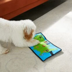 Frisco Road Trip Foldable Map Flat Plush Squeaky Dog Toy 9 Frisco Road Trip Foldable Map Flat Plush Squeaky Dog Toy -Paws Joy Outlet Store 261998 PT4. AC SS1800 V1619791937