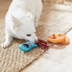 Frisco Road Trip Jerky & Pretzel Plush Squeaky Dog Toy, 2 Count -Paws Joy Outlet Store 262012 PT3. AC SS1800 V1619792018