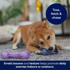 Frisco Birthday TPR Fetch Bone Squeaky Dog Toy 10 Frisco Birthday TPR Fetch Bone Squeaky Dog Toy -Paws Joy Outlet Store 264422 PT4. AC SS1800 V1695760988