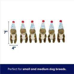 Frisco Birthday Volcano & Dinosaurs Hide & Seek Puzzle Plush Squeaky Dog Toy -Paws Joy Outlet Store 264424 PT2. AC SS1800 V1695761147