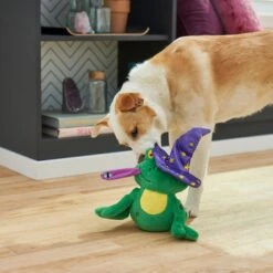 Frisco Magic Wizard Frog Plush Squeaky Dog Toy -Paws Joy Outlet Store 265588 PT3. AC SS1800 V1620939075
