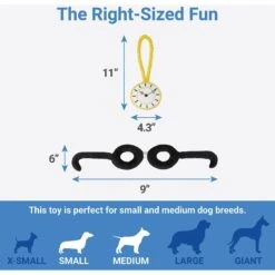 Frisco Magic Pocket Watch & Glasses Plush Squeaky Dog Toy, 2 Count -Paws Joy Outlet Store 265590 PT1. AC SS1800 V1623352152