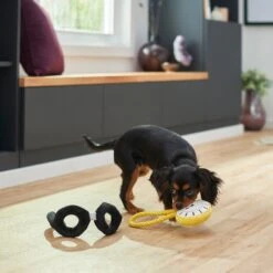 Frisco Magic Pocket Watch & Glasses Plush Squeaky Dog Toy, 2 Count -Paws Joy Outlet Store 265590 PT3. AC SS1800 V1620938935