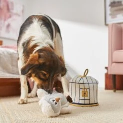 Frisco Magic Owl & Cage 2-in-1 Plush Squeaky Dog Toy 7 Frisco Magic Owl & Cage 2-in-1 Plush Squeaky Dog Toy -Paws Joy Outlet Store 265592 PT3. AC SS1800 V1620938916