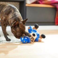 Frisco Magic Wizard Bear Plush Squeaky Dog Toy -Paws Joy Outlet Store 265604 PT3. AC SS1800 V1623352109