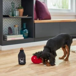 Frisco Magic Potions Plush Squeaky Dog Toy -Paws Joy Outlet Store 265618 PT3. AC SS1800 V1620939183