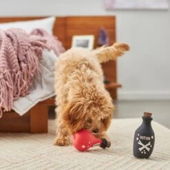 Frisco Magic Potions Latex Squeaky Dog Toy, 2 Count -Paws Joy Outlet Store 265632 PT3. AC SS1800 V1620939021