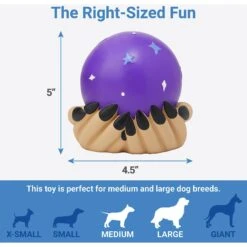 Frisco Magic Fortune Teller's Crystal Ball Latex Squeaky Dog Toy -Paws Joy Outlet Store 265634 PT1. AC SS1800 V1623351758