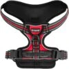 Frisco Padded Reflective Harness