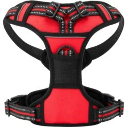Frisco Padded Reflective Harness -Paws Joy Outlet Store 266770 PT3. AC SS1800 V1624549126