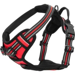 Frisco Padded Reflective Harness -Paws Joy Outlet Store 266770 PT4. AC SS1800 V1624548897