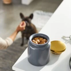 Frisco Modern Gold Rim Ceramic Treat Jar -Paws Joy Outlet Store 270190 PT2. AC SS1800 V1620762371