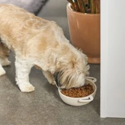 Frisco Dog Face Non-skid Ceramic Cat & Dog Bowl 8 Frisco Dog Face Non-skid Ceramic Cat & Dog Bowl -Paws Joy Outlet Store 270226 PT2. AC SS1800 V1620762156