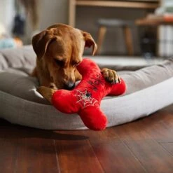 Frisco Halloween Wicked Cute Bone Reversible Plush Squeaky Dog Toy 9 Frisco Halloween Wicked Cute Bone Reversible Plush Squeaky Dog Toy -Paws Joy Outlet Store 270357 PT3. AC SS1800 V1624817551