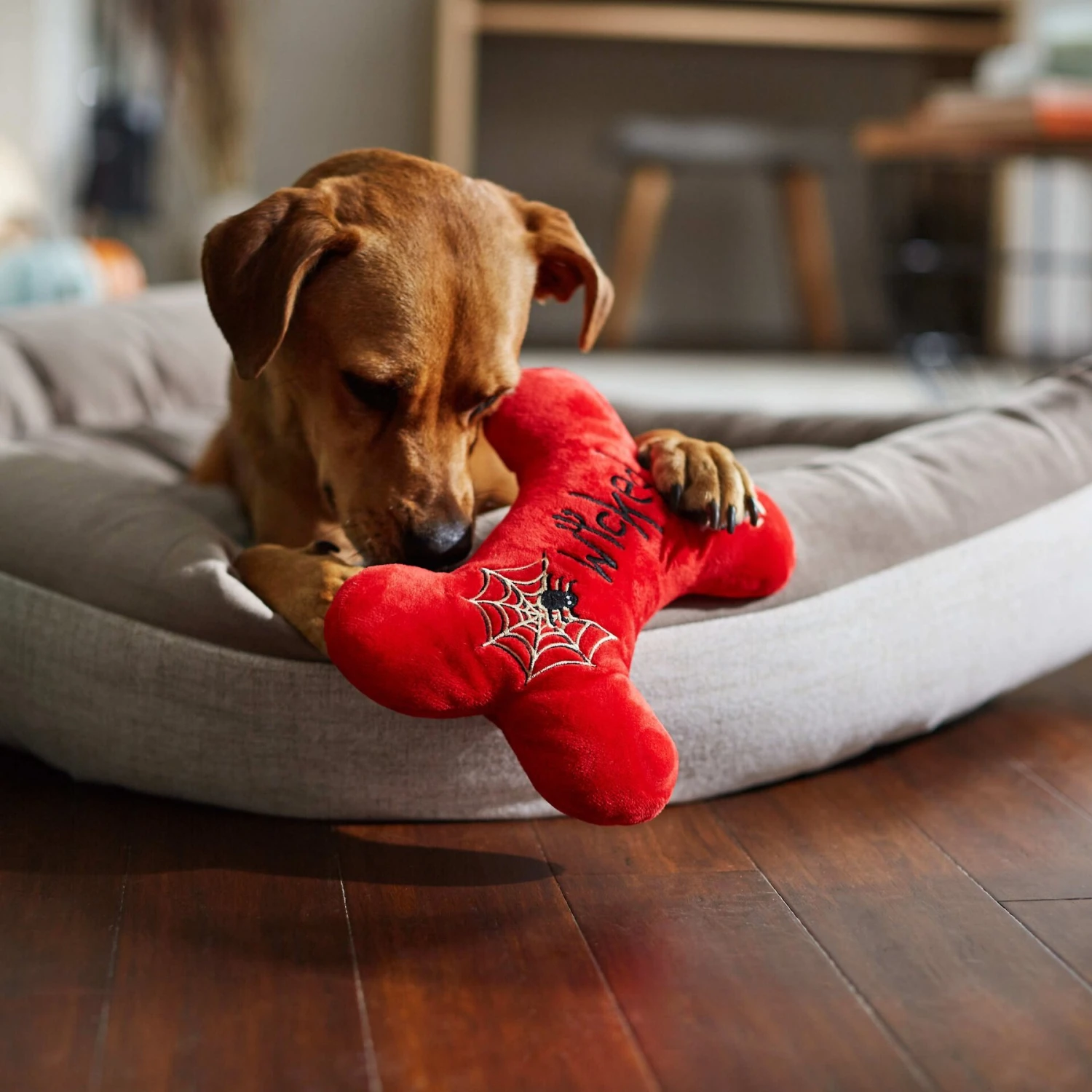 Frisco Halloween Wicked Cute Bone Reversible Plush Squeaky Dog Toy 4 Frisco Halloween Wicked Cute Bone Reversible Plush Squeaky Dog Toy - Image 4