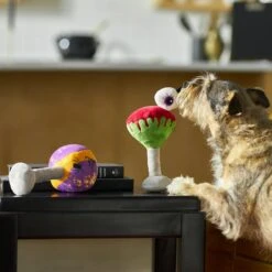 Frisco Halloween Cocktail Plush Squeaky Dog Toy -Paws Joy Outlet Store 270361 PT3. AC SS1800 V1624817495