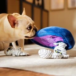 Frisco Halloween Mummy & Coffin Hide & Seek Puzzle Plush Squeaky Dog Toy -Paws Joy Outlet Store 270365 PT3. AC SS1800 V1624817620