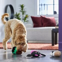 Frisco Halloween Cupcakes Plush Squeaky Dog Toy -Paws Joy Outlet Store 270367 PT3. AC SS1800 V1624817674