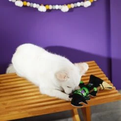 Frisco Halloween Good Witch, Bad Witch Reversible Plush Squeaky Dog Toy 9 Frisco Halloween Good Witch, Bad Witch Reversible Plush Squeaky Dog Toy -Paws Joy Outlet Store 270429 PT3. AC SS1800 V1624817643