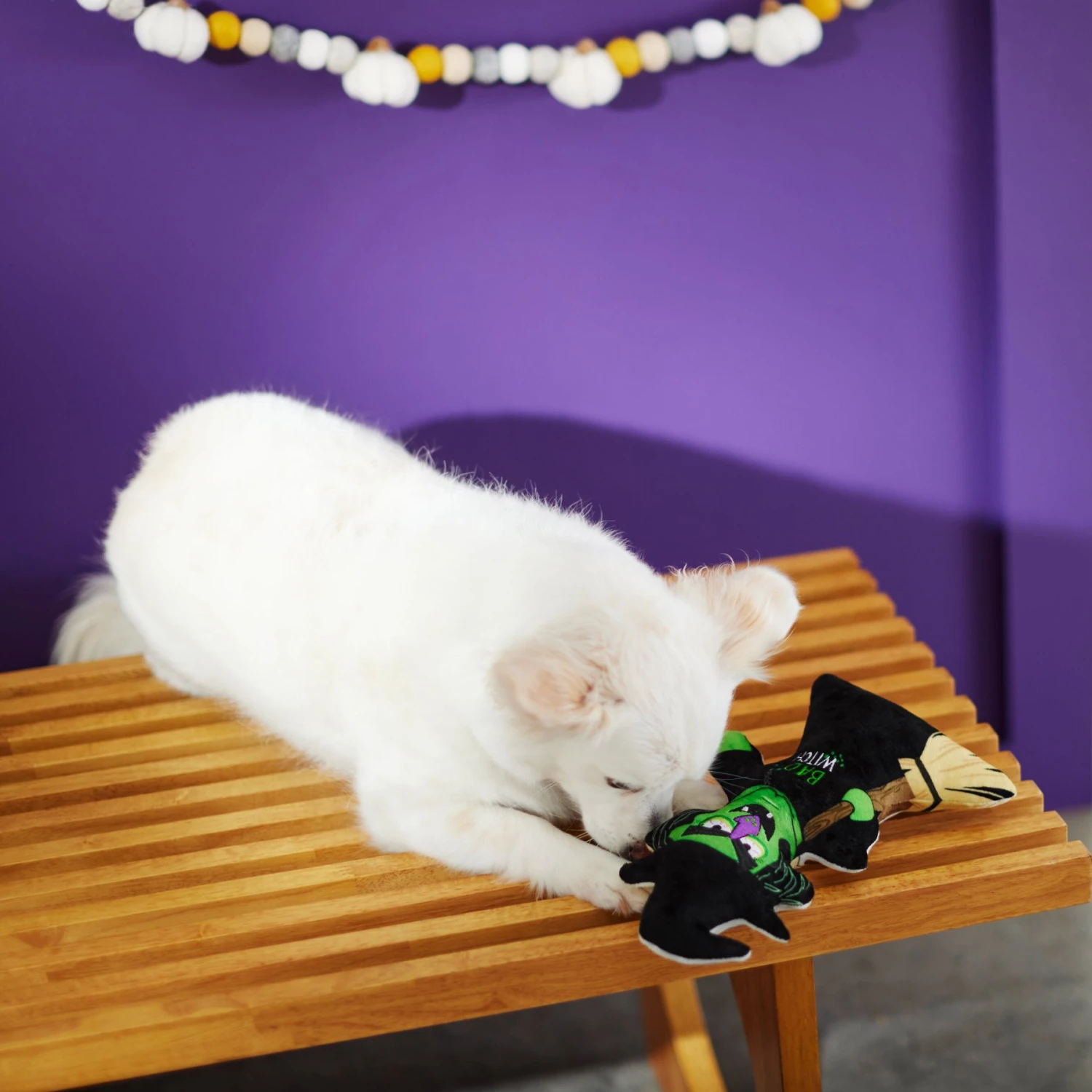 Frisco Halloween Good Witch, Bad Witch Reversible Plush Squeaky Dog Toy 4 Frisco Halloween Good Witch, Bad Witch Reversible Plush Squeaky Dog Toy - Image 4