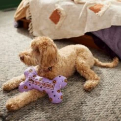 Frisco Halloween My First Halloween Bone Reversible Plush Squeaky Dog Toy 9 Frisco Halloween My First Halloween Bone Reversible Plush Squeaky Dog Toy -Paws Joy Outlet Store 270452 PT3. AC SS1800 V1624817314
