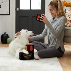 Frisco Halloween 30 Days Of Halloween Countdown Blocks Plush Squeaky Dog Toy -Paws Joy Outlet Store 270494 PT3. AC SS1800 V1624817483