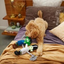 Frisco Halloween Frankenstein & Bride Plush With Rope Squeaky Dog Toy -Paws Joy Outlet Store 270496 PT3. AC SS1800 V1624824775