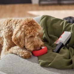 Frisco Halloween Vampire Teeth & Knife Latex Squeaky Dog Toy -Paws Joy Outlet Store 270512 PT3. AC SS1800 V1624817093