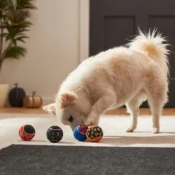 Frisco Halloween Glow In The Dark Fetch Squeaky Tennis Ball Dog Toy -Paws Joy Outlet Store 270525 PT3. AC SS1800 V1624824980