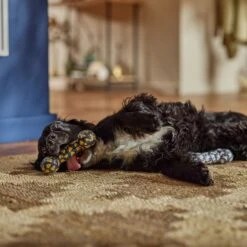 Frisco Halloween Candy Corn & Ghosts TPR Bone Squeaky Dog Toy, 2 Count -Paws Joy Outlet Store 270529 PT3. AC SS1800 V1689876508