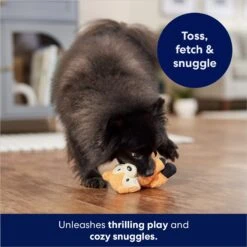 Frisco Camping Fox Plush Squeaky Dog Toy -Paws Joy Outlet Store 270993 PT5. AC SS1800 V1686579209