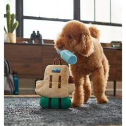 Frisco Camping Backpack Plush Squeaky Dog Toy -Paws Joy Outlet Store 271005 PT3. AC SS1800 V1625009263