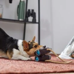 Frisco Camping Binoculars Plush With Rope Squeaky Dog Toy -Paws Joy Outlet Store 271009 PT3. AC SS1800 V1625009167