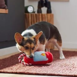 Frisco Camping Lantern Plush With Rope Squeaky Dog Toy -Paws Joy Outlet Store 271013 PT3. AC SS1800 V1625160766