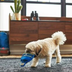 Frisco Camping Canteen Plush With Rope Squeaky Dog Toy 5 Frisco Camping Canteen Plush With Rope Squeaky Dog Toy -Paws Joy Outlet Store 271022 PT3. AC SS1800 V1625009237