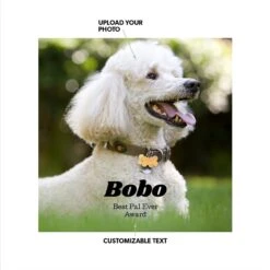 Frisco Personalized Basic Ceramic Photo Tile With Stand -Paws Joy Outlet Store 271227 PT1. AC SS1800 V1619445421