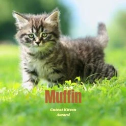 Frisco Personalized Basic Ceramic Photo Tile With Stand -Paws Joy Outlet Store 271227 PT2. AC SS1800 V1619198223