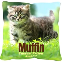 Frisco Personalized Basic Throw Pillow, 16" X 16" -Paws Joy Outlet Store 271237 PT2. AC SS1800 V1620405726