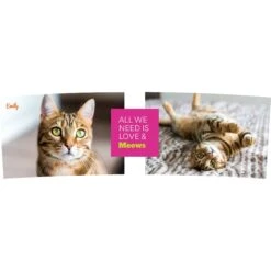 Frisco "Classic" Double Walled Personalized Tumbler. 30-oz 6 Frisco "Classic" Double Walled Personalized Tumbler. 30-oz -Paws Joy Outlet Store 272541 PT2. AC SS1800 V1625686095